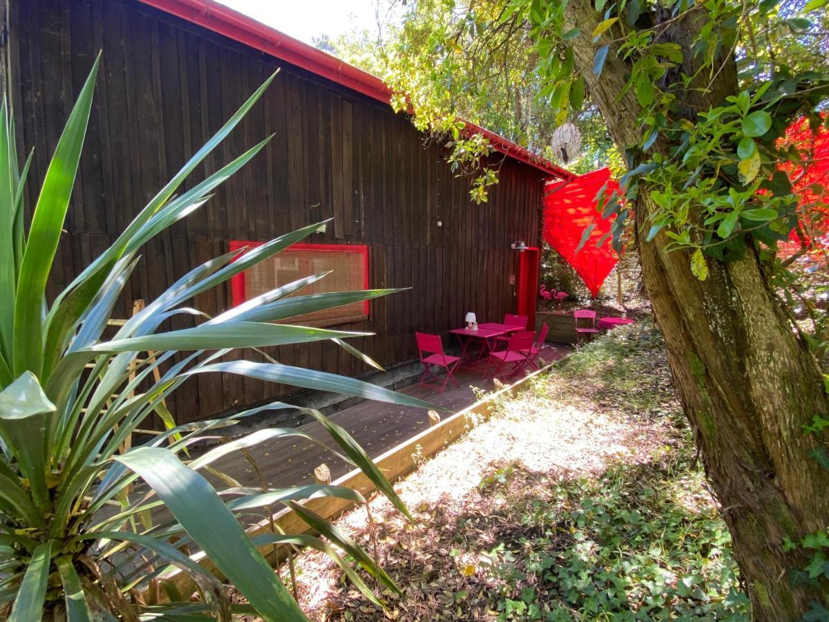 דירות לאקאנו Le Loft Au-Dessus Des Pins מראה חיצוני תמונה